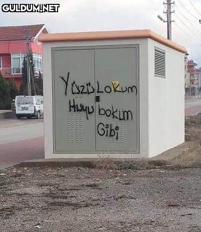 Yüzü lokum
huyu “bokum” gibi