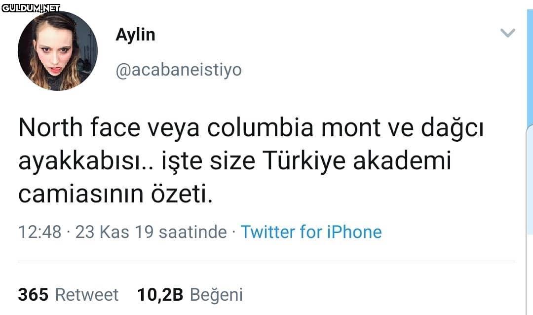 10/10 tespit...