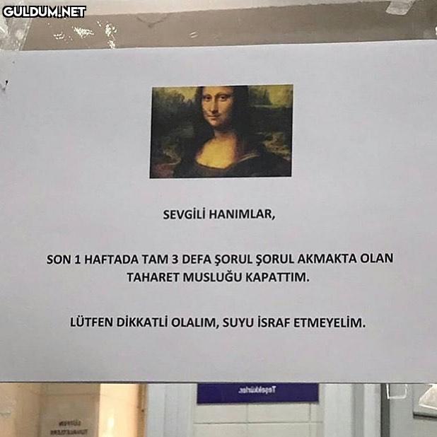 Mona Lisa and her problems...