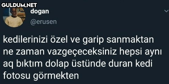 dogan @erusen kedilerinizi...