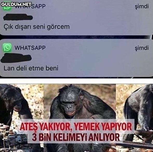 Alkışlıyoruz... WHATSAPP...