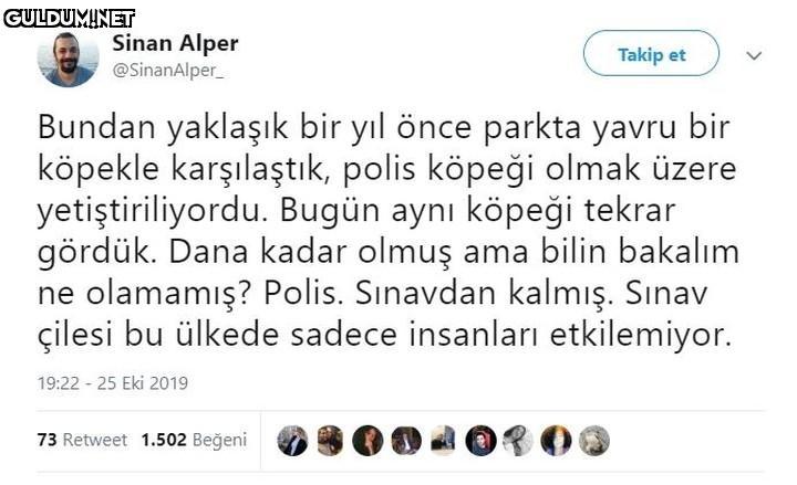 Sinan Alper @SinanAlper...