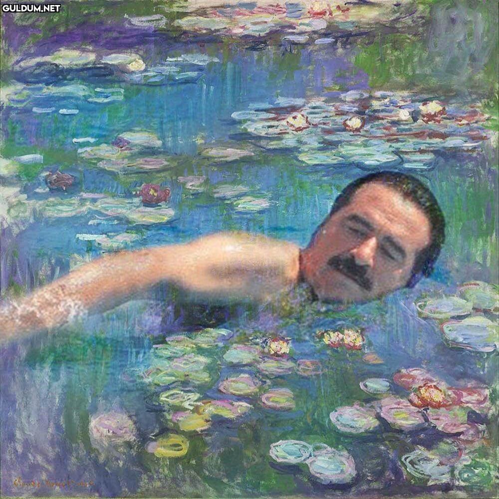 Water lililiyar by Monet @satrayn1