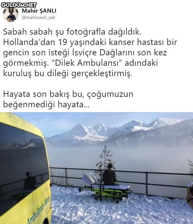 Mahir ŞANLI @mahirsanli...