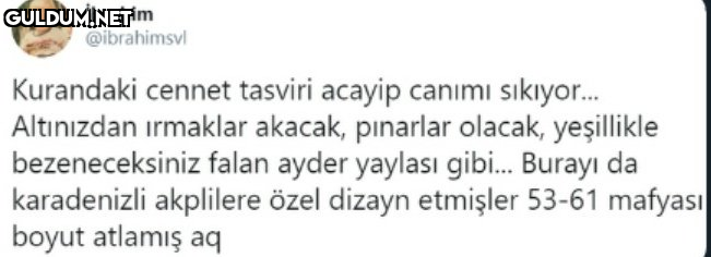 ibrahim @ibrahimsvl...