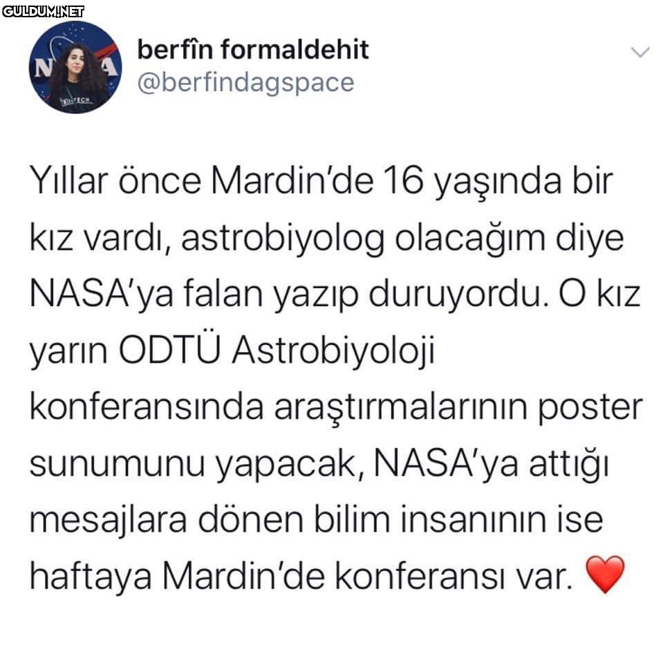 berfin formaldehit N...