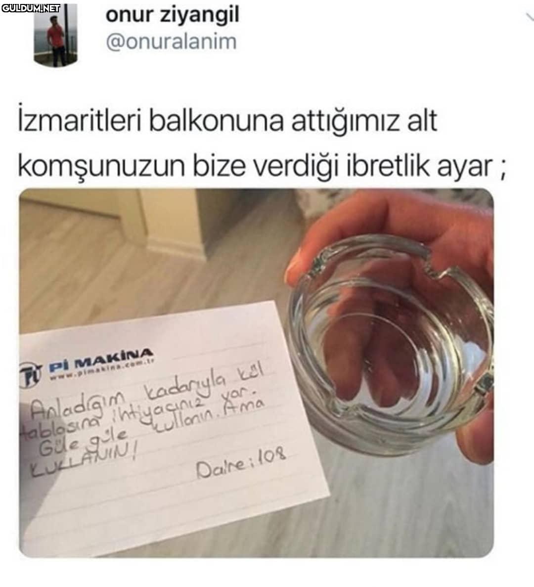 onur ziyangil @onuralanim...