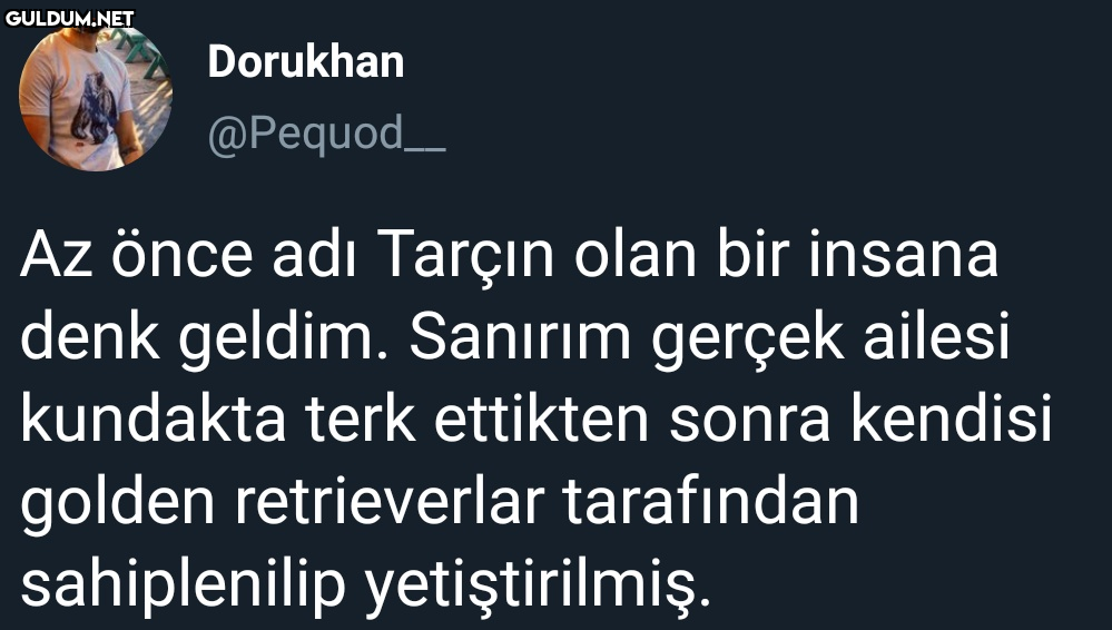 Dorukhan @Pequod_ Az önce...