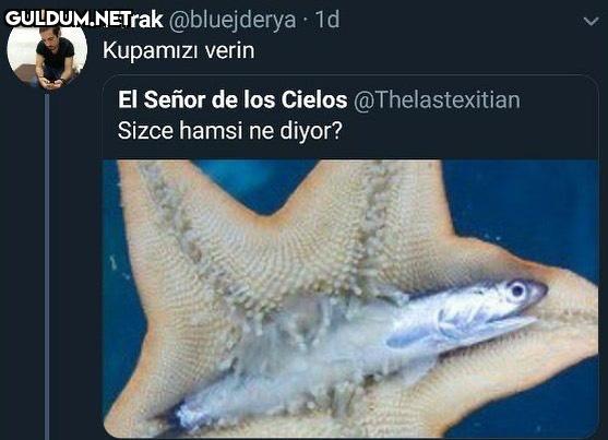 Burak @bluejderya 1d...