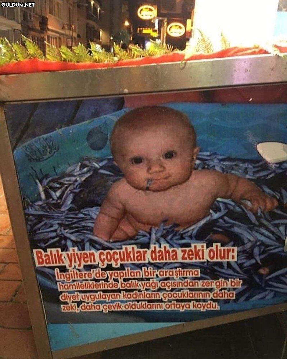 balıkçı gollum Balıkyiyen...