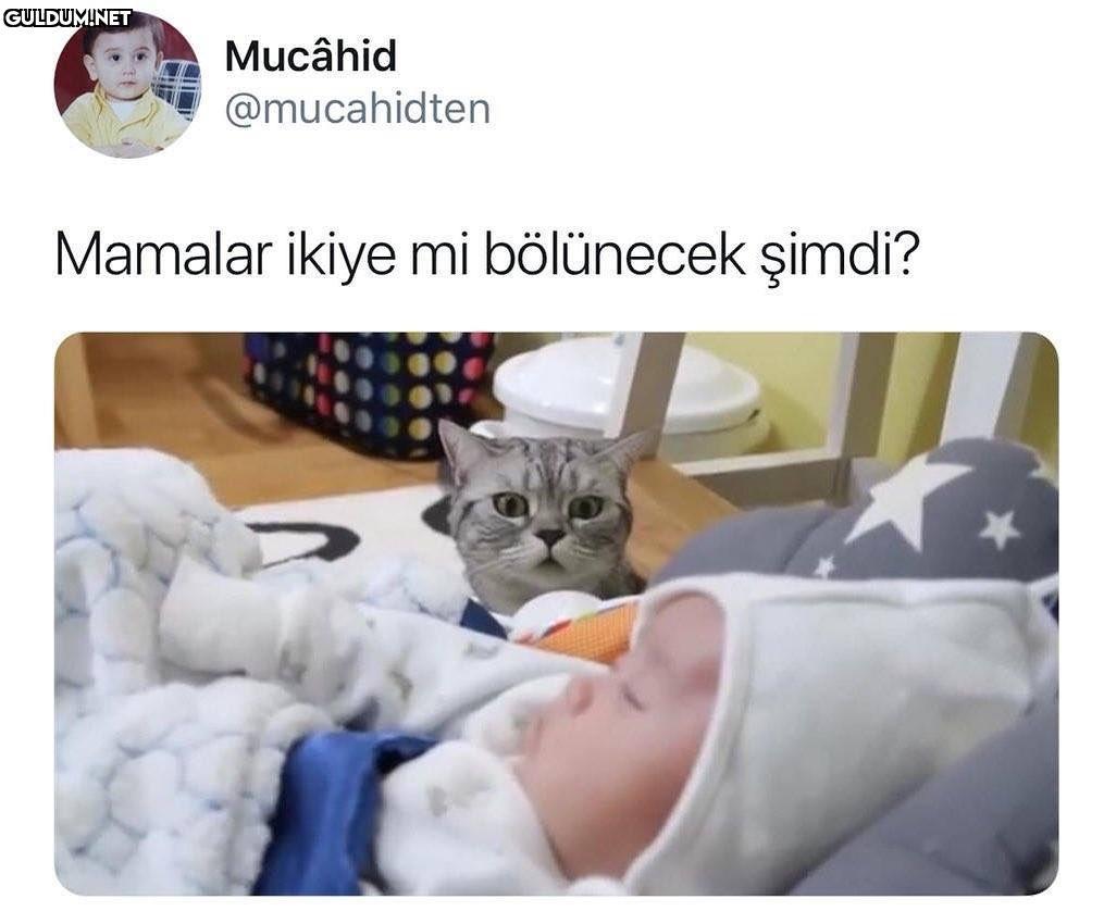 Mucâhid @mucahidten...