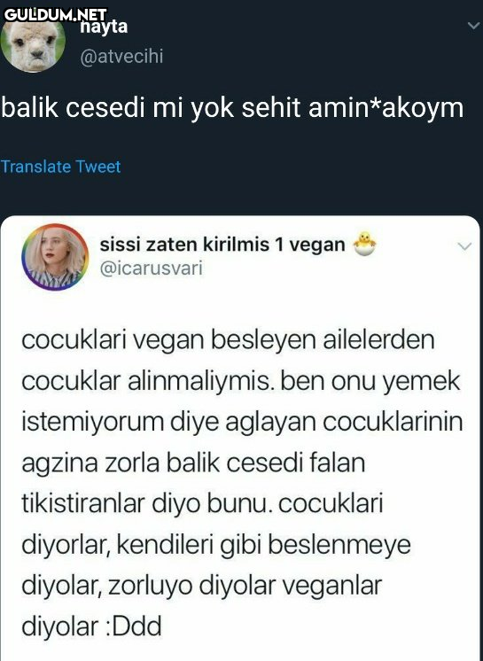 hayta @atvecihi balik...