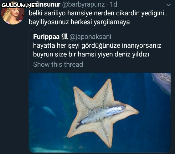 Popular post