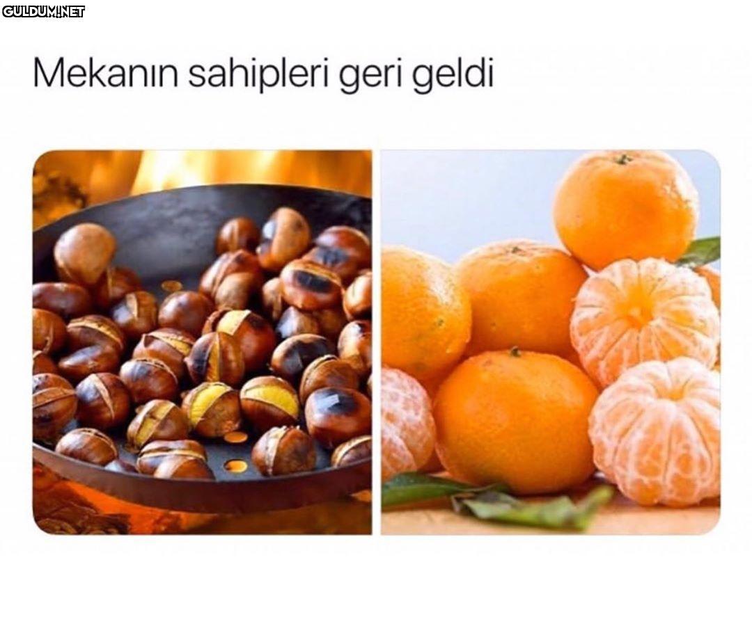 Tarafını seç ! sence...