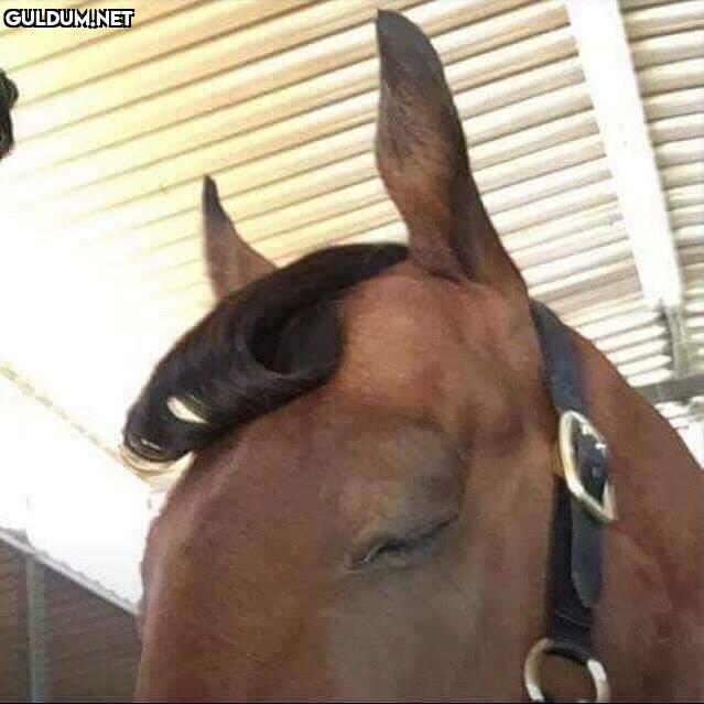 Popular post