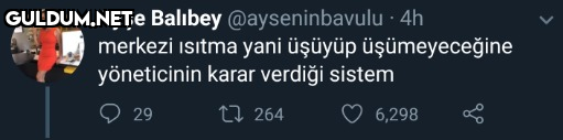 Ayşe Balıbey...