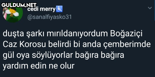 cedi merry &...