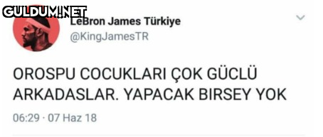 LeBron James Türkiye...