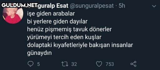 Sunguralp Esat...