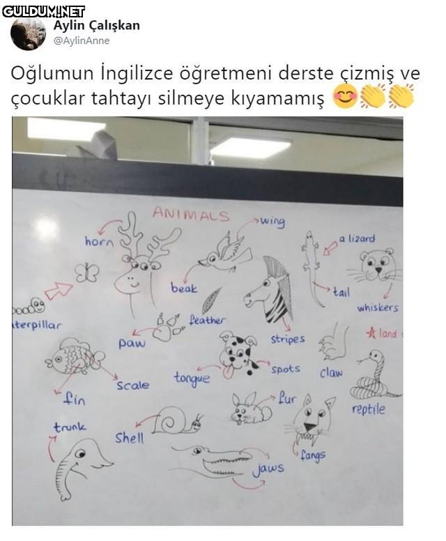 Aylin Çalışkan @AylinAnne...
