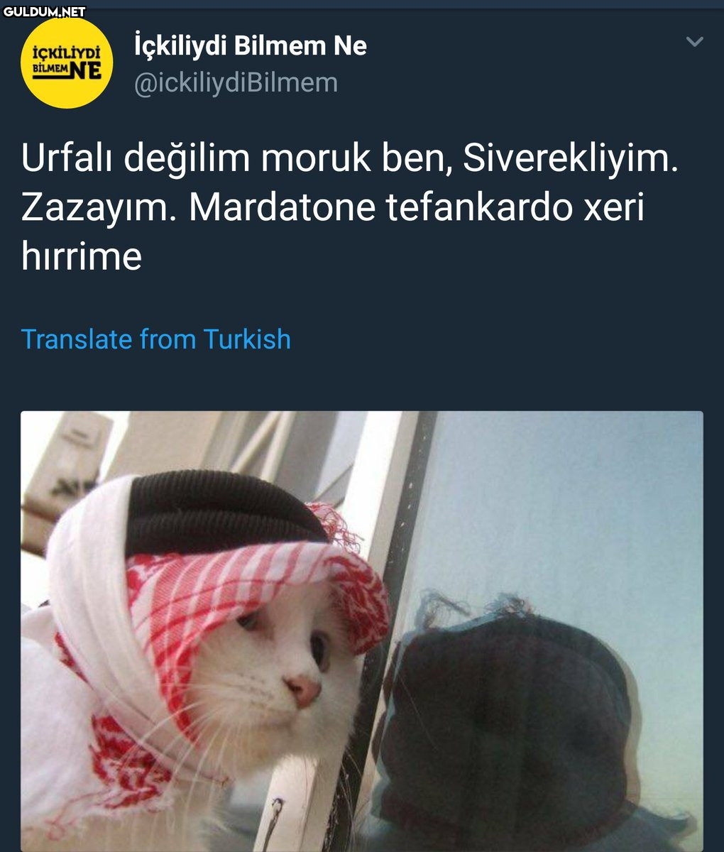 Urfalı değilim moruk ben,...