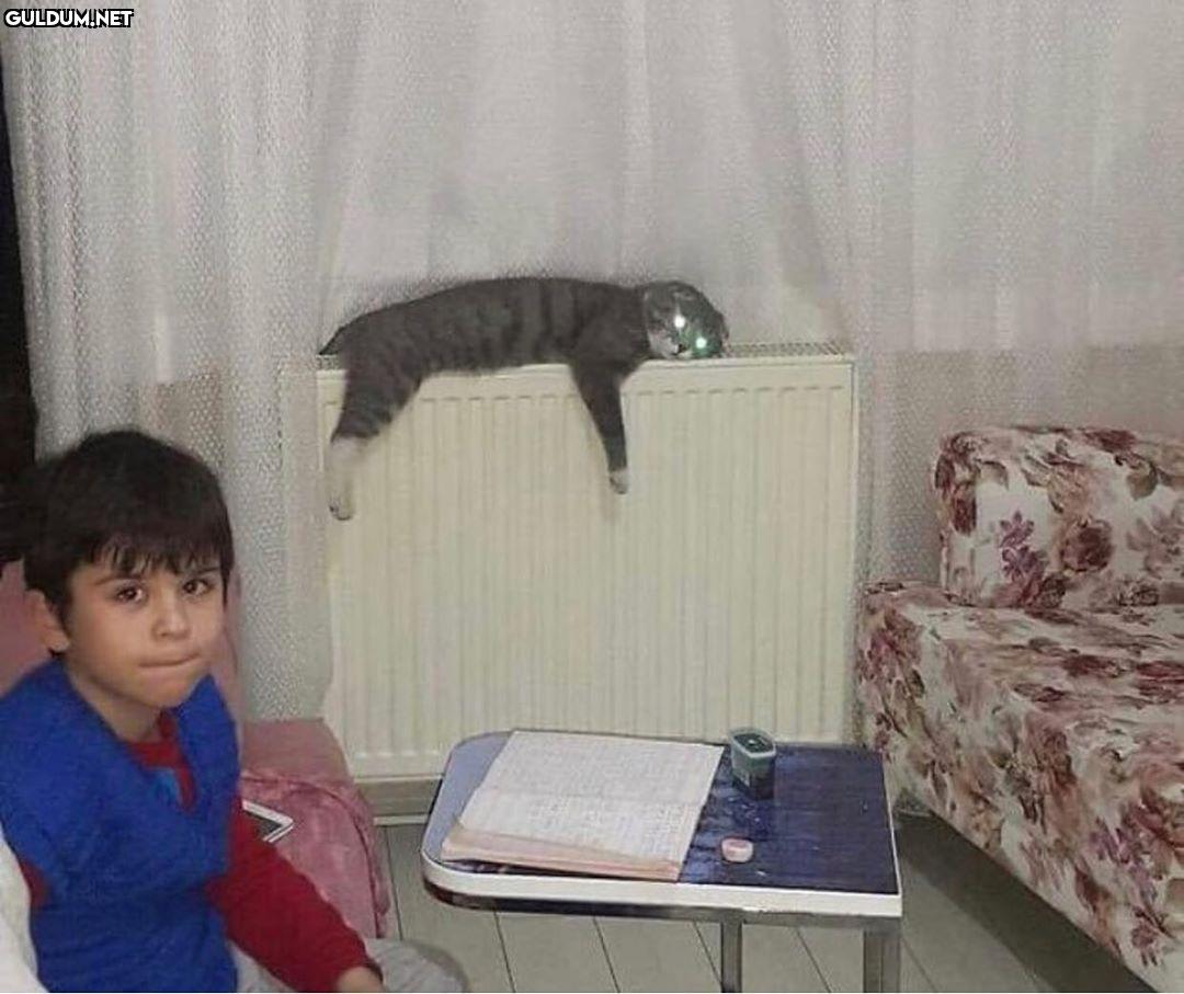 Kedinin yoğuşması......