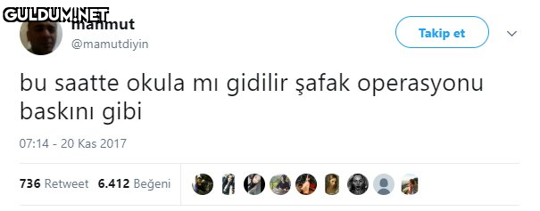 mahmut Takip et...