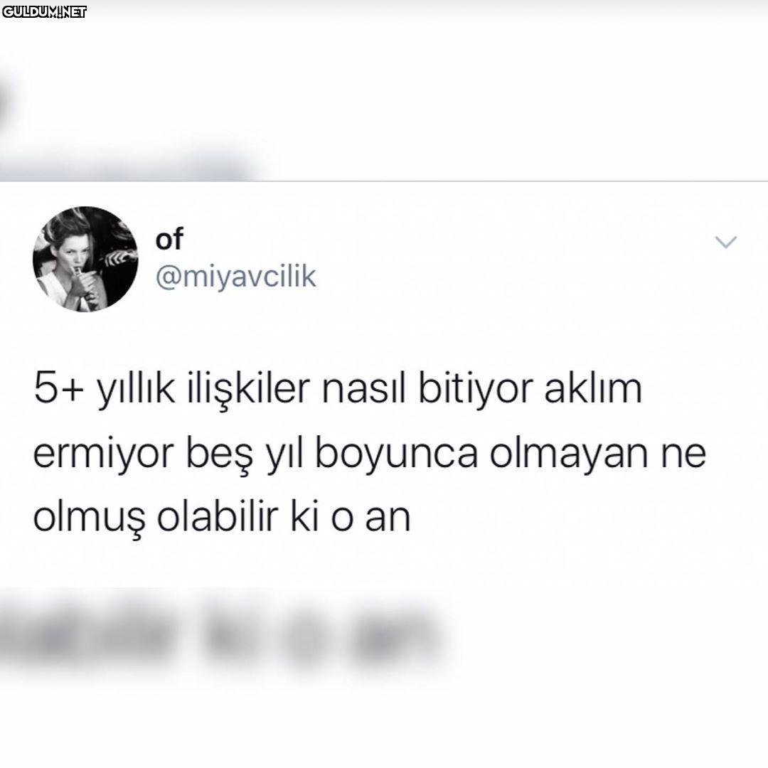 of @miyavcilik 5+ yıllık...