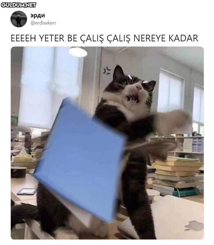 эрди @erdisekerr EEEEH...