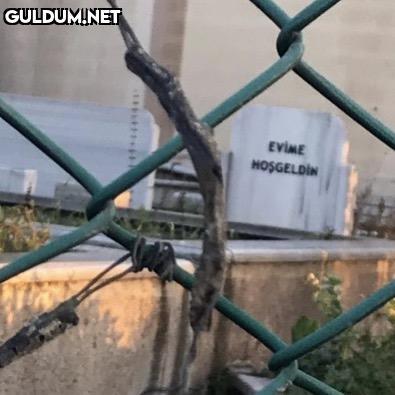 İşe geldik EVİME HOŞGELDİN