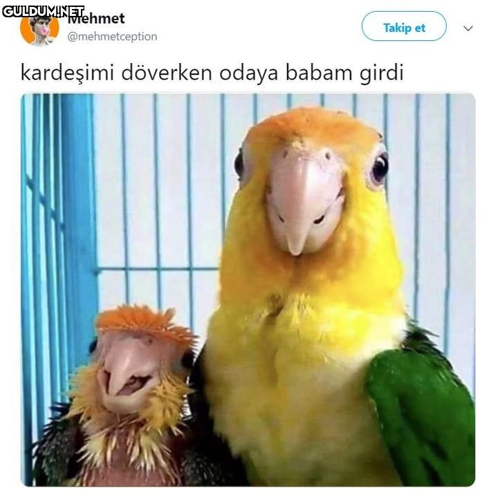 Popular post