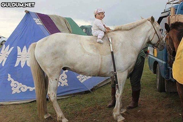 orta asyada atta gitmek