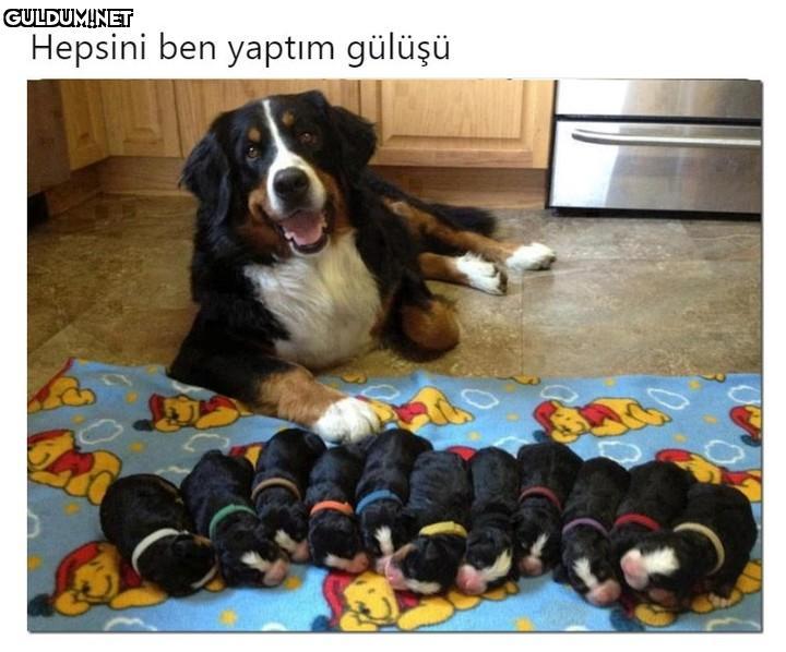 Hepsini ben yaptım gülüşü