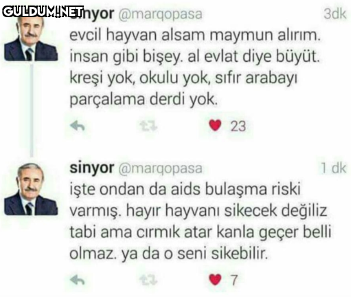 sinyor @marqopasa evcil...