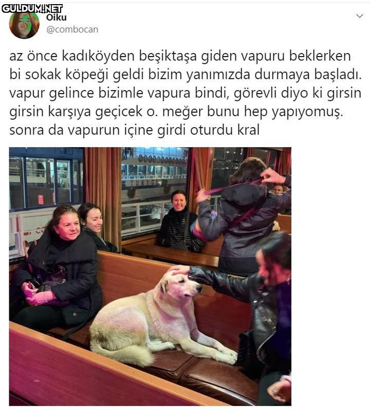 Oiku @combocan az önce...