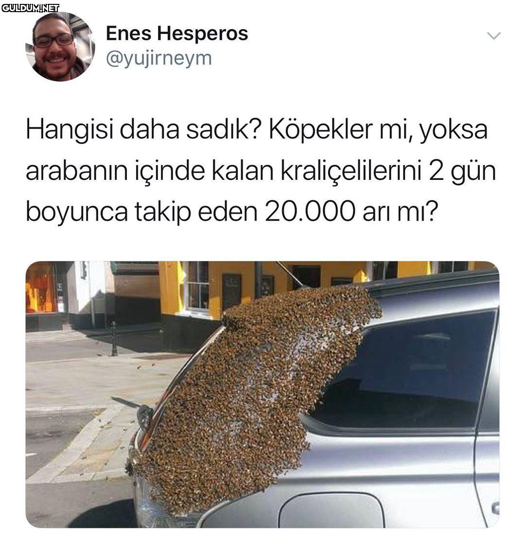 Enes Hesperos @yujirneym...