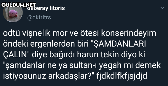 dilberay litoris @dktrltrs...