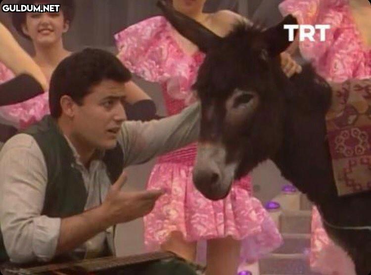 Arkadaşım eşek.
...