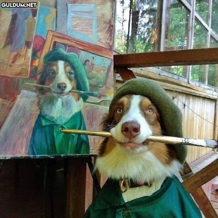 Günaydın 🖼