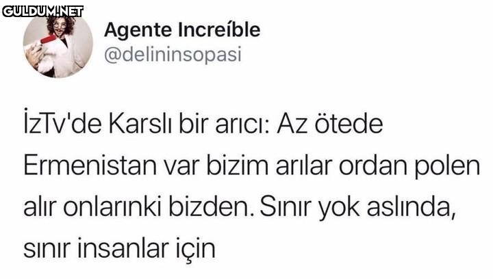 Agente Increíble...