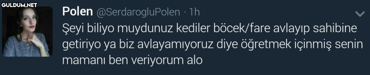 Polen @SerdarogluPolen ·...