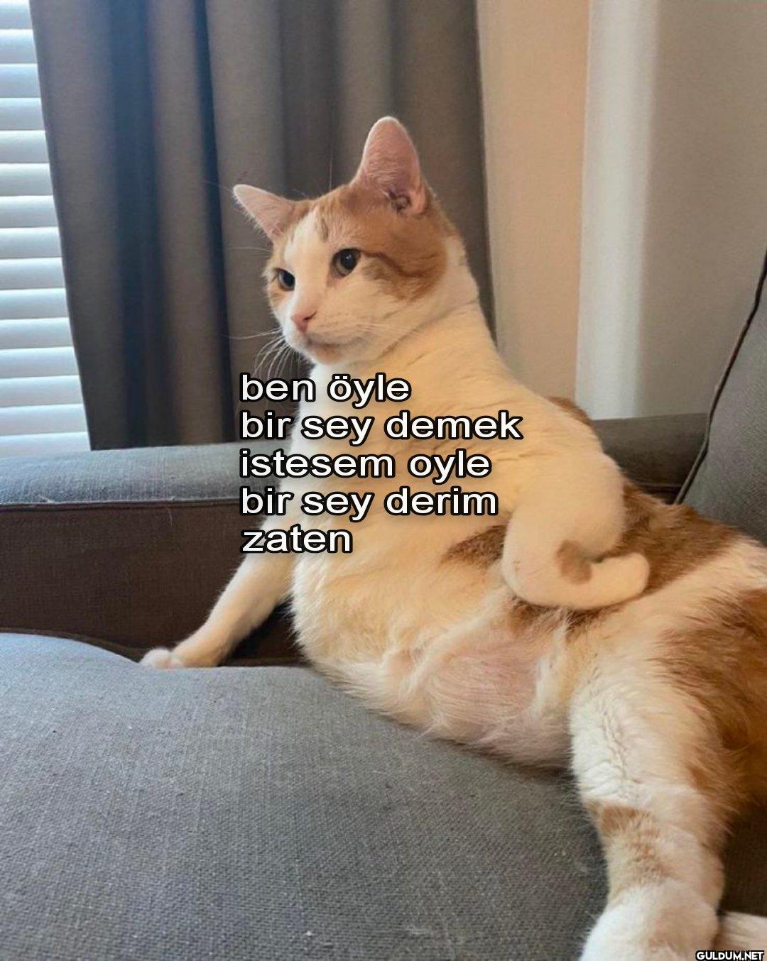 ben öyle bir sey demek...