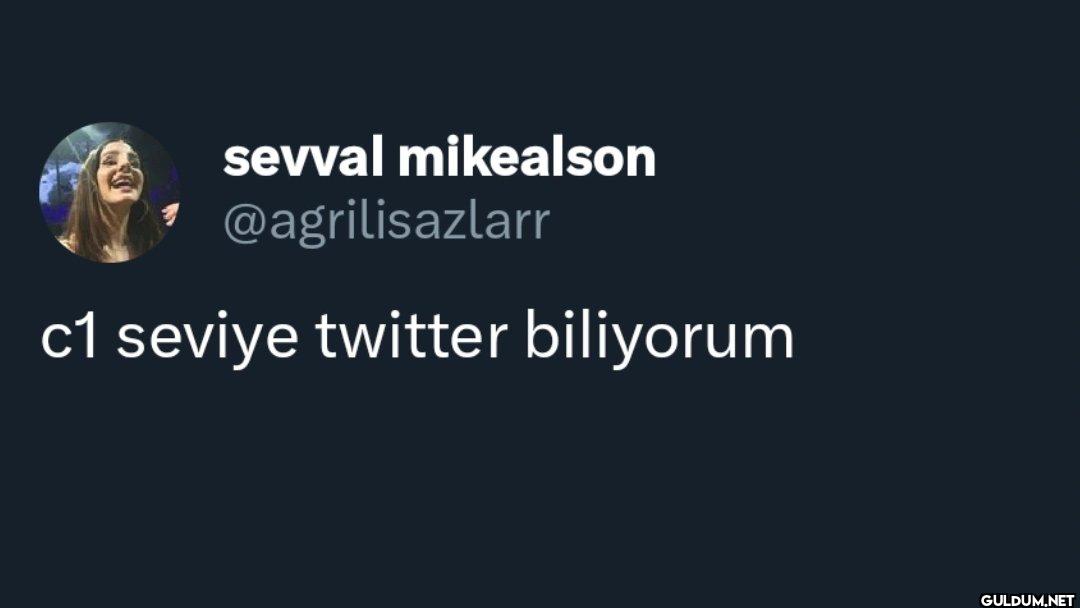 c1 seviye twitter biliyorum