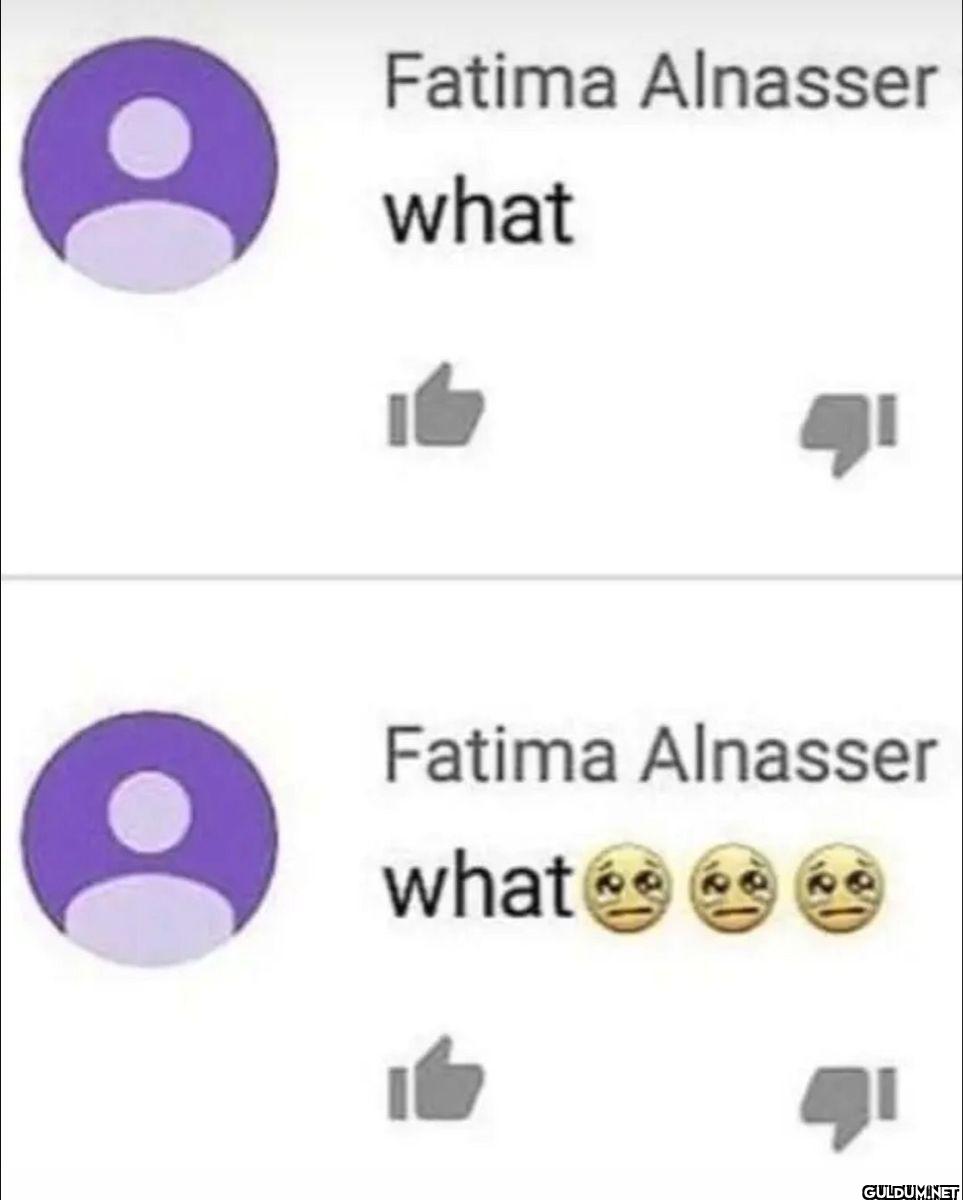 Fatima Alnasser what...