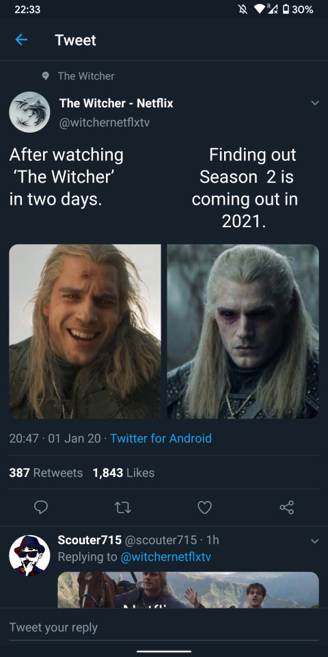 Netflix Witcher capsleri.