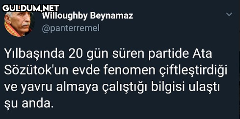 Willoughby Beynamaz...