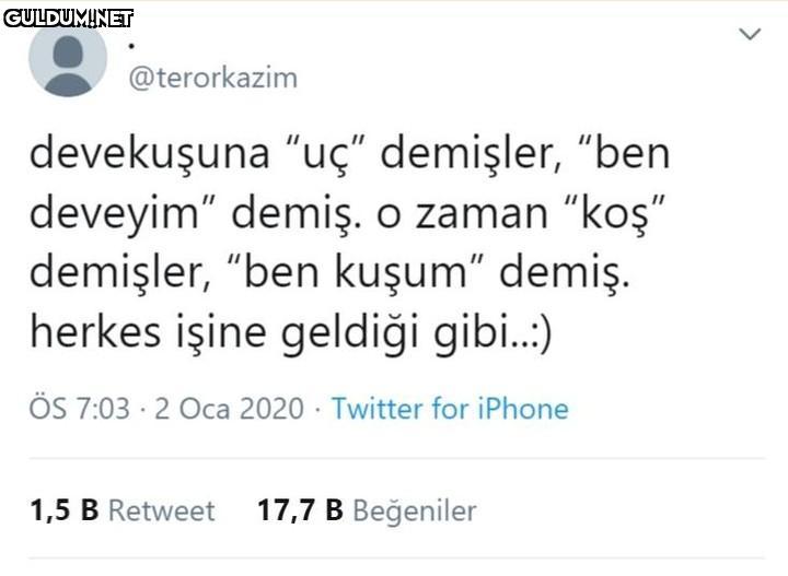 @terorkazim devekuşuna...