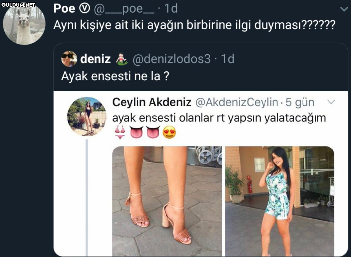 Poe O @ -poe_ · 1d Aynı...