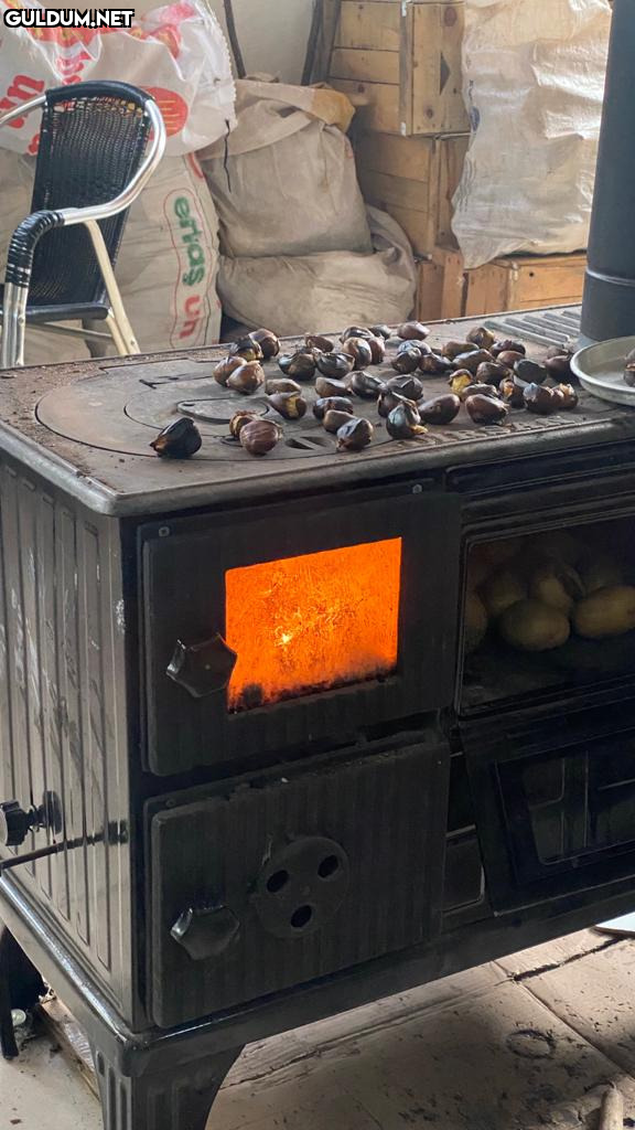 Sonada kestane liseliler bilmez.