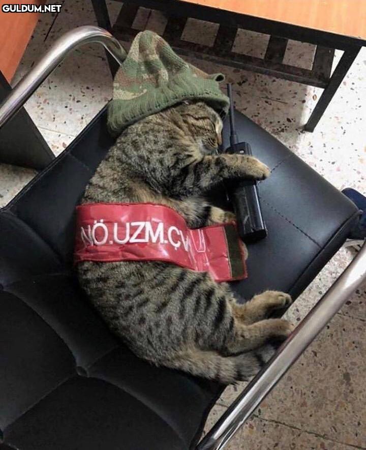 Günaydın 😂...